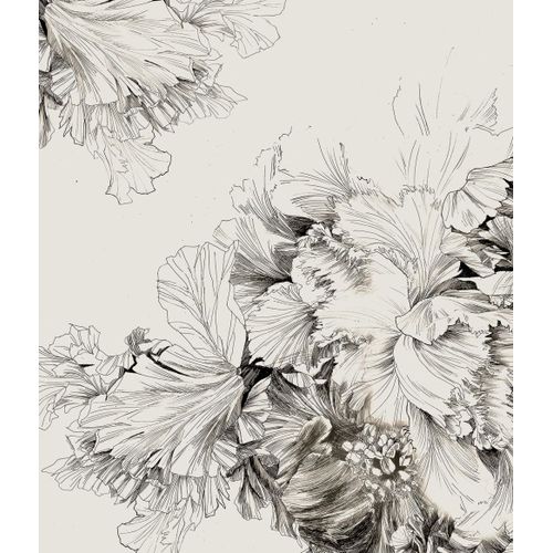Fond de hotte décorative, fleurs au fusain noir et blanc 60x70 cm