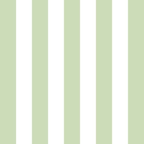 Papier peint rayures vert d'eau 52x1000 cm