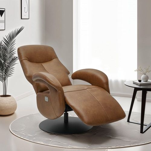 Fauteuil Relax Électrique En Cuir Marron