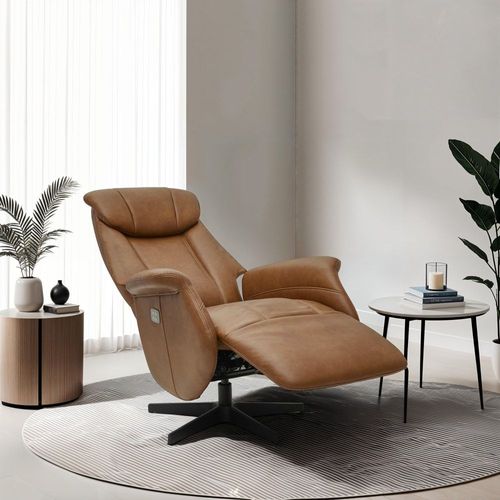 Fauteuil Relax Électrique En Cuir Marron