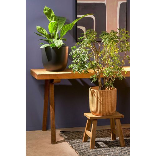 Tabouret En Bois Recyclé L38