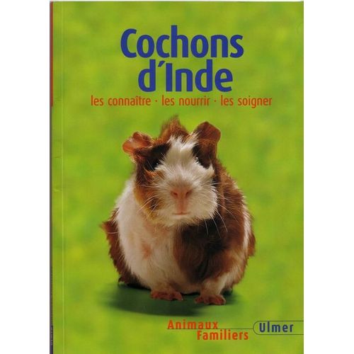Cochons D'inde