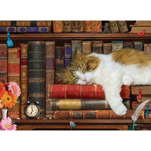 Boîte En Métal - The Cat Nap - Puzzle 1000 Pièces