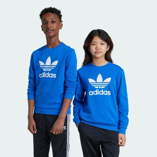 Sweat-Shirt Ras-Du-Cou Trèfle Enfants Adidas - Blue - 13-14a