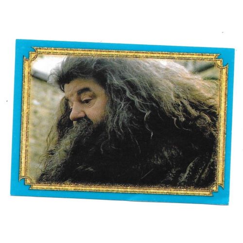 Sticker Panini Harry Potter Et La Chambre Des Secrets N°162