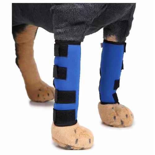 Genouillères Pour Animaux De Compagnie Avec Bandes De Soutien Protège-Jambes De Chien Pattes De Chien Protecteur Pour Animaux De Compagnie Couverture De Blessure Chirurgicale Pour Chien (Bleu S) L