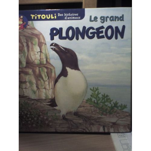 Le Grand Plongeon