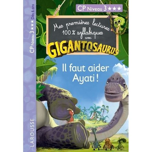 Il Faut Aider Ayati ! - Cp Niveau 3