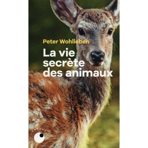 La Vie Secrète Des Animaux - Amour, Deuil, Compassion : Un Monde Caché S'ouvre À Nous