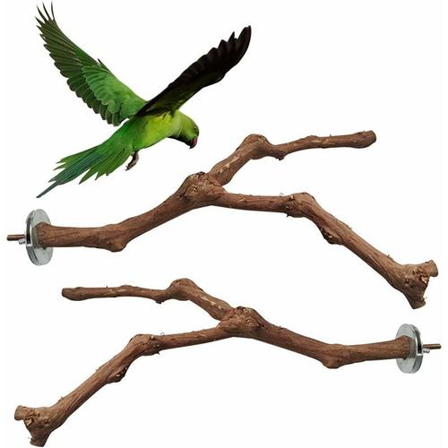 Allazone 4 PCS Perchoir Perroquet, Jouets Oiseaux en Bois, Jouet à