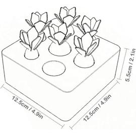 XIAPIA Jouets en Bois pour Garçons et Filles de 1 an Montessori Forme  Taille Tri Puzzle Carottes Récolte Cadeaux pour Bébés Développement de la  Motricité Fine (Carottes)