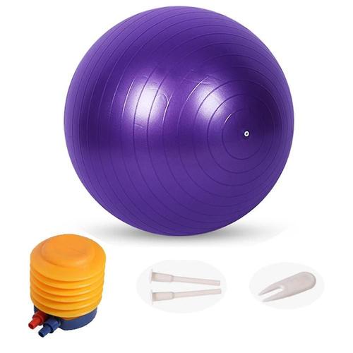 Ballon D'exercice De Balle De Yoga Extra Épais, Pour L'équilibre, La Stabilité, Pompe Rapide De Grossesse Incluse - 65cm - Purple