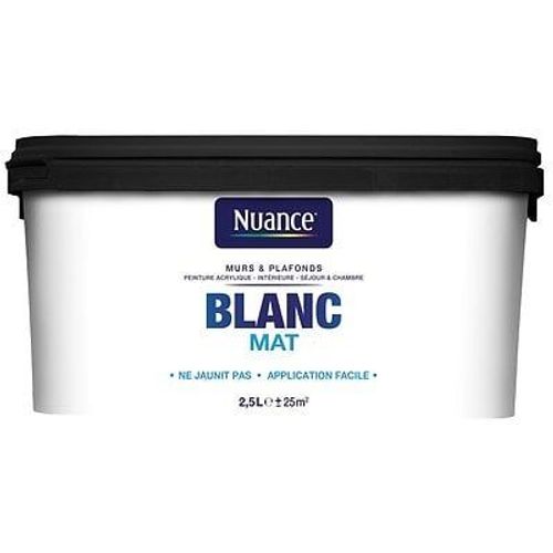 Peinture murs et plafonds blanc mat 2.5L