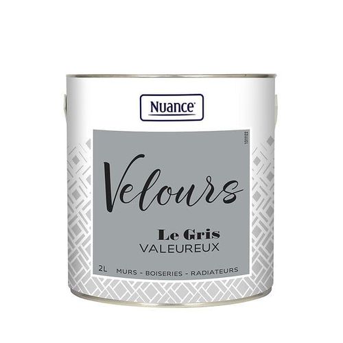 Peinture Velours - Gris valeureux - Multi-support - 2L