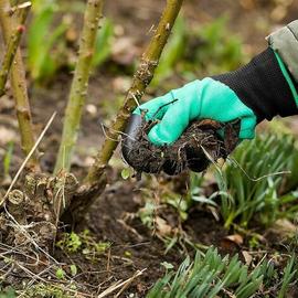 Gants de jardin avec griffes, planter un gant de jardinage est le meilleur  choix pour creuser et planter rapidement et facilement