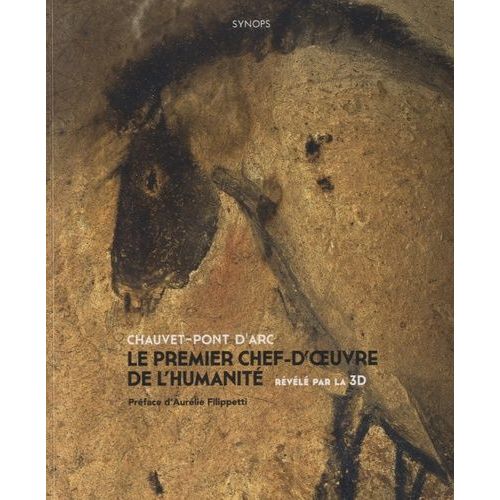 Chauvet-Pont D'arc, Le Premier Chef-D'oeuvre De L'humanité Révélé Par La 3d