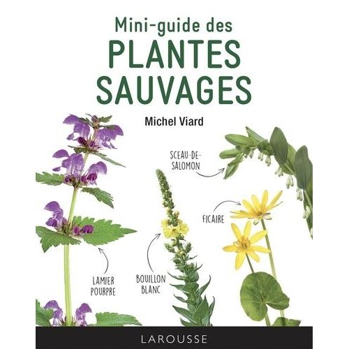 Mini-Guide Des Plantes Sauvages