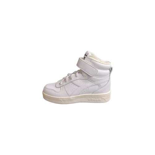 501.178316 - Magic Basket Mid Ps - 35