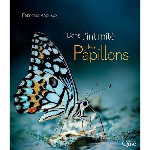 Dans L'intimité Des Papillons