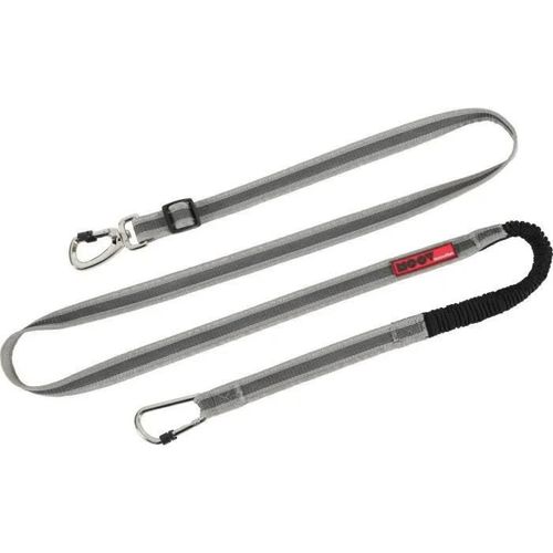 Laisse Pour Chien Zolux Jogging Vtt Moov