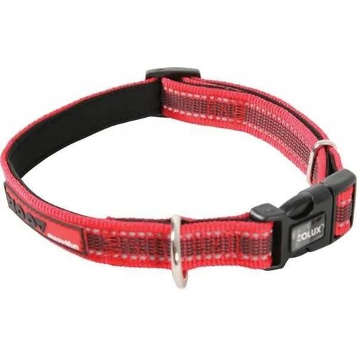 Collier - Zolux - Moov - Réglable 25mm - Rouge - Confortable Et Solide