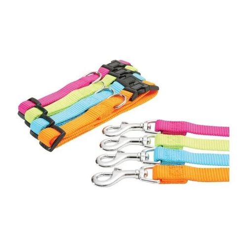 Collier - Anis - Réglable 25mm - Confortable - Solide - Pour Chien