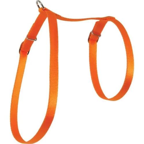 Harnais - Nylon - Orange - Petit - Chat - Léger Et Résistant
