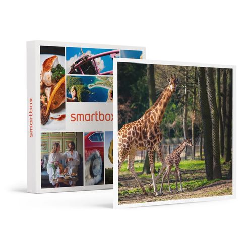 Journée Zoo En Duo : 2 Entrées Adultes Pour Le Safari De Peaugres - Smartbox - Coffret Cadeau Sport & Aventure