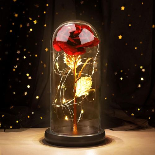 ERSHI-Rose Eternelle sous Cloche, Cadeau Fete des Meres Original, Rose éternel avec LED, Coffret La Belle et La Bête Rose, Idee Ca[3119]
