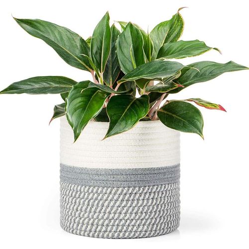 Kalanka-Panier À Plantes D'intérieur, Pot De Fleurs Tissé, Cache Pot À Plantes En Corde De Coton, Décoration Intérieure Panier De Rangement Pour Jouets Vêtements Diamètre 20 Cm