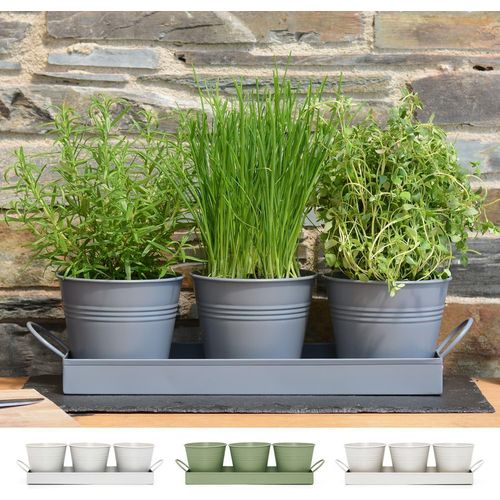 Kalanka-Pot À Herbes Plantes D'intérieur Plateau Lot De 3 Cultivez Des Herbes Fraîches Chez Vous Jardinières Rebord De Fenêtre Cuisine Pour Basilic Menthe Persil Fleurs Metal (Gris Charbon)