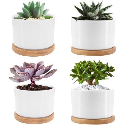 Lot de 2 mini pots à crème en céramique blanche classique pure avec poignée 70 ml