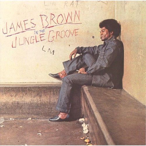 In The Jungle Groove