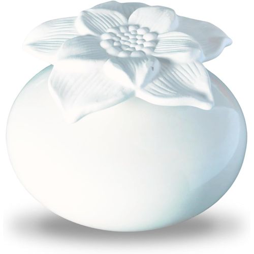 Diffuseur De Parfum Par Capillarité Fleur Narcisse Blanc - Diffuseur Huile Essentielle Parfum D`Ambiance Et Senteurs Maison - Vase En Céramique Et Fleur En Plâtre - Diffusion Naturelle - Zen`Arôme 