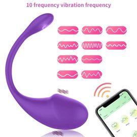 Jouets Sexuels Bluetooth Gode Vibrateur Pour Femmes Sans Fil App Télécommande Vibrateur Porter Culotte Vibrante Jouet Pour Couple Sex Shop Purple Box