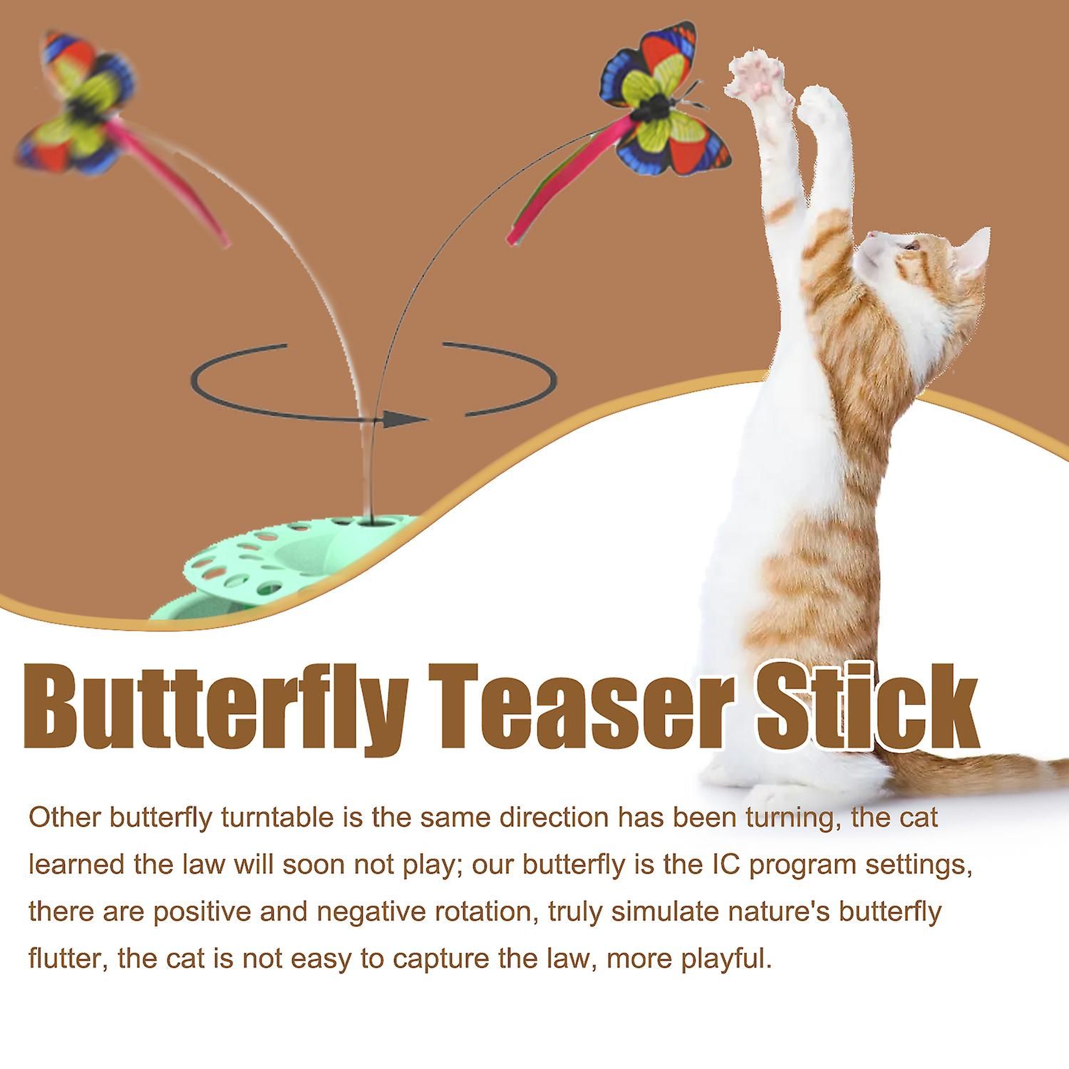 Jouet lectronique Intelligent 3 En 1 Pour Chaton Papillon F... - 3