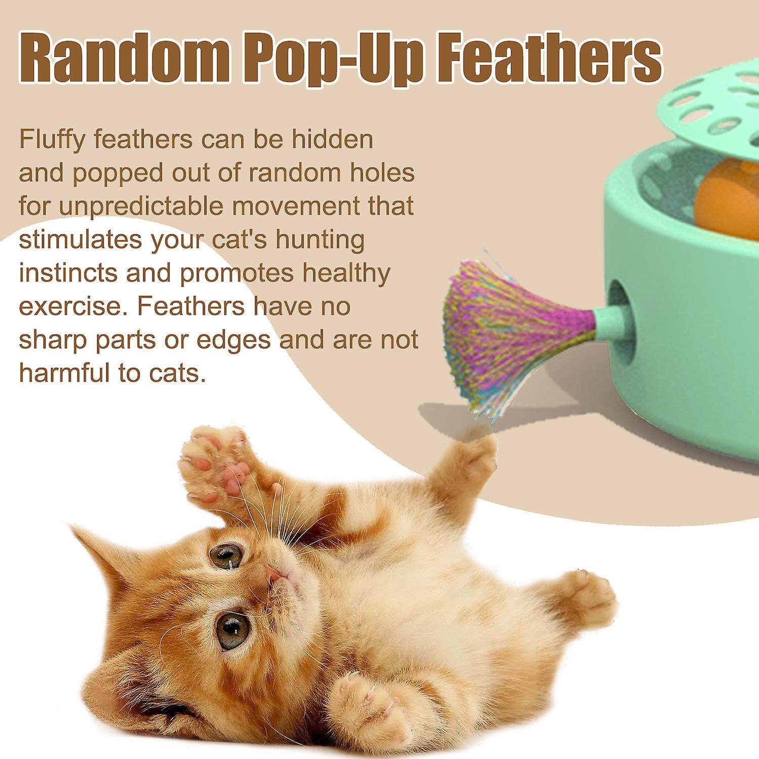 Jouet lectronique Intelligent 3 En 1 Pour Chaton Papillon F... - 5