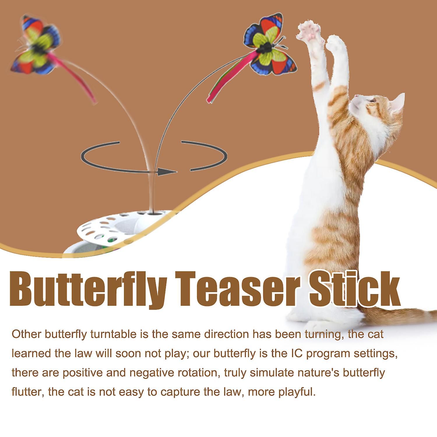 Jouet lectronique Intelligent 3 En 1 Pour Chaton Papillon F... - 2