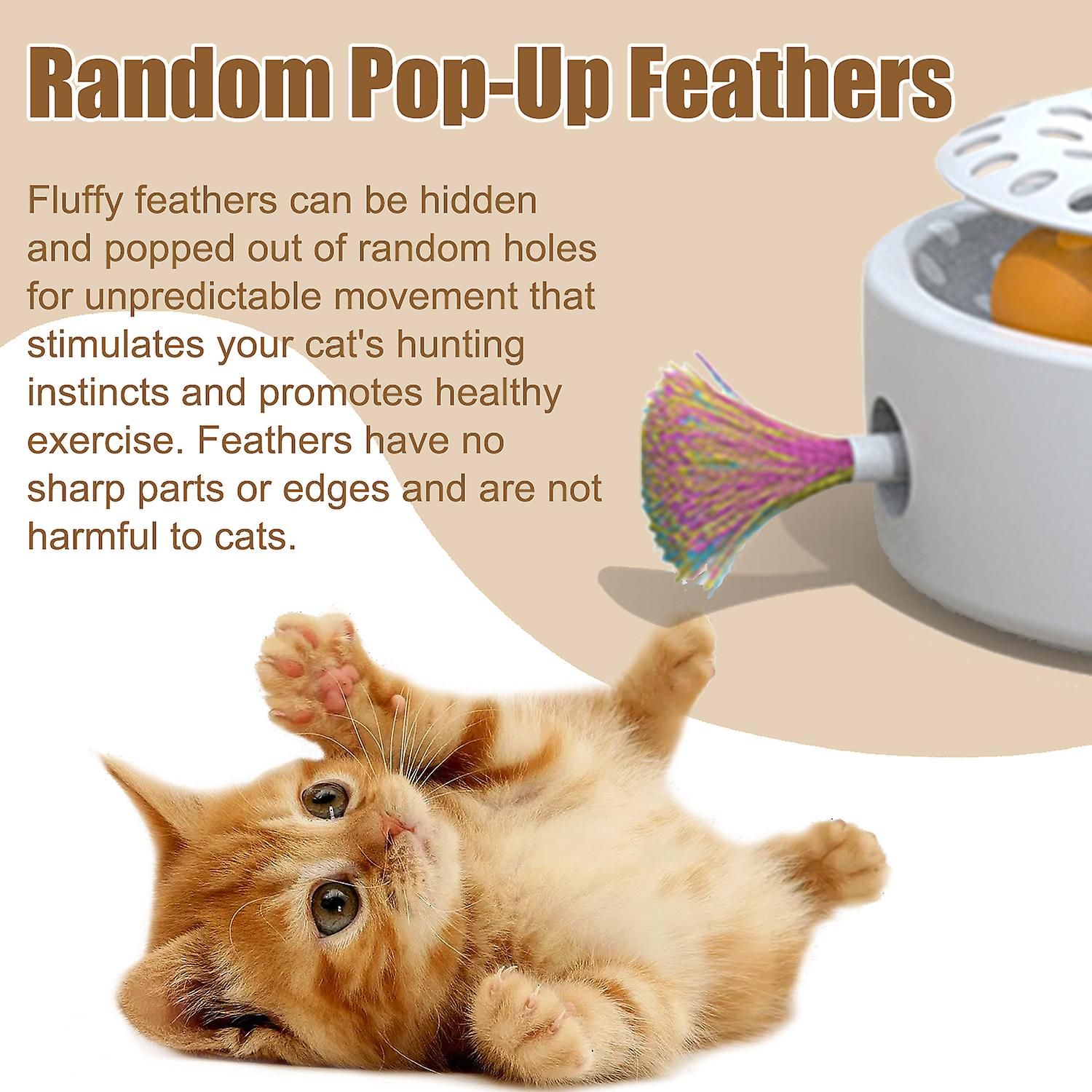 Jouet lectronique Intelligent 3 En 1 Pour Chaton Papillon F... - 4