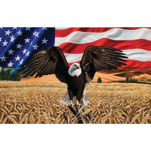 Amber Waves Of Grain - Puzzle 1000 Pièces