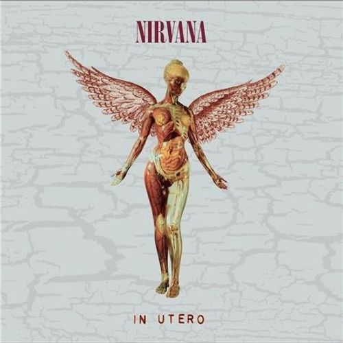 In Utero ((30th Anniversary Édition Limitée Deluxe Coffret) - Cd Album