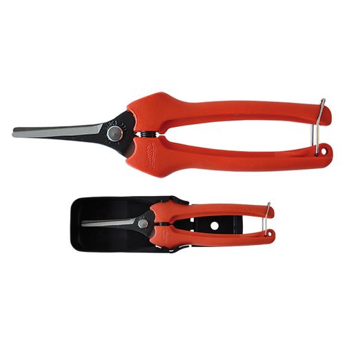 1 X CISEAUX VENDANGEURS 19 cm - art. P128-19