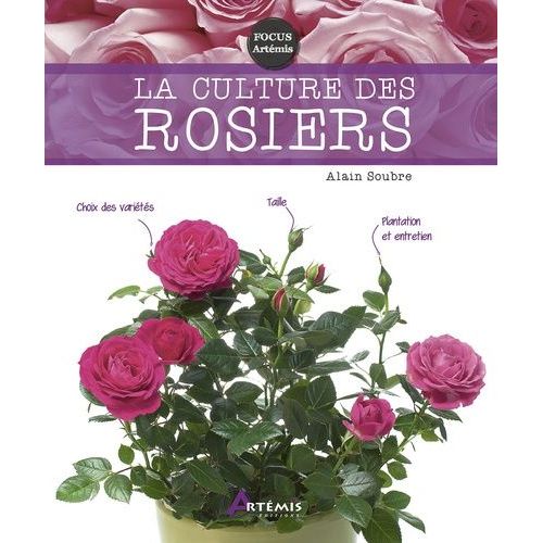 La Culture Des Rosiers