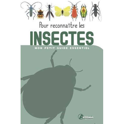 Pour Reconnaître Les Insectes