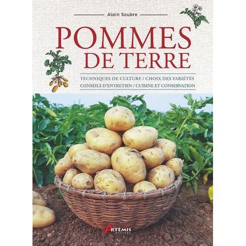 Pommes De Terre - Techniques De Culture, Choix Des Variétés, Conseils D'entretien, Cuisine Et Conservation