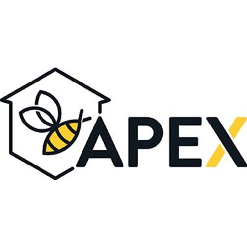 1 X CM 35X10 H.CM 131 ÉLEVEUR À DÉCHETS + BALAI GAIN D'ESPACE APEX