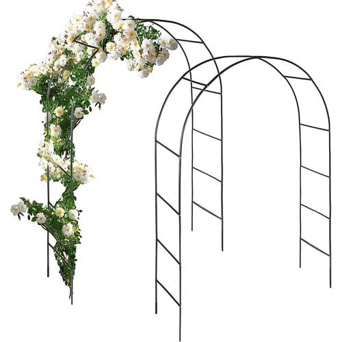 Anaterra® Arc De Roses - Set De 2, 240 X 140 X 36cm, Stable, En Métal - Arc De Jardin, Tonnelle, Archet De Rosiers, Plantes Grimpantes