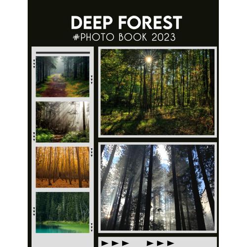 Deep Forest Photo Album Book: Colourful Nature Landscape Images For Relaxing With 30+ High-Resolution Pics For Kids And Adults To Relaxation Photobook To Relieve Stress And Get Creative