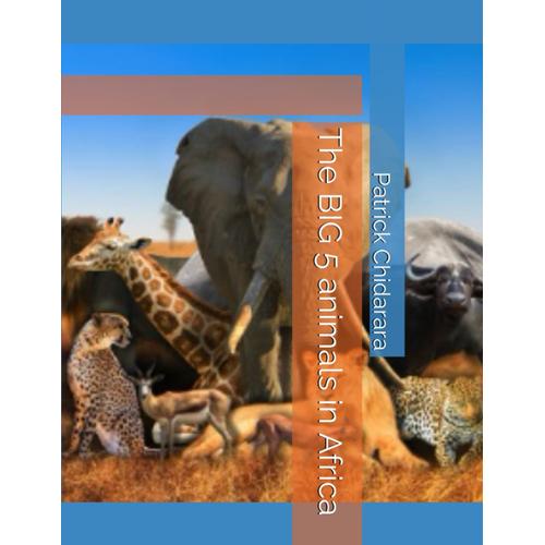 The Big 5 Animals In Africa