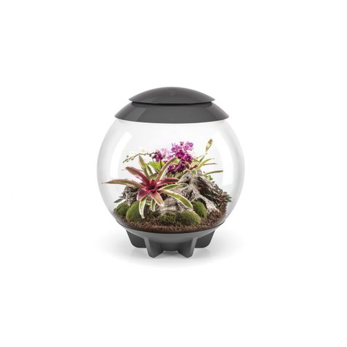 Oase - Terrarium Décoratif 60l Avec Cadre Gris Air 60 Grey